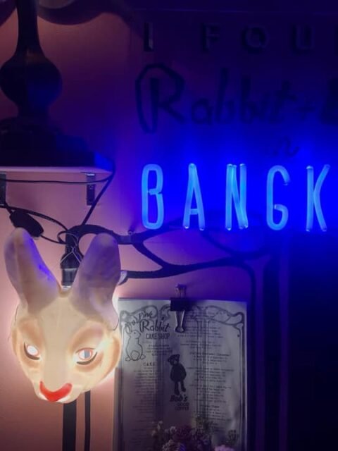 A Pink Rabbit Bob2